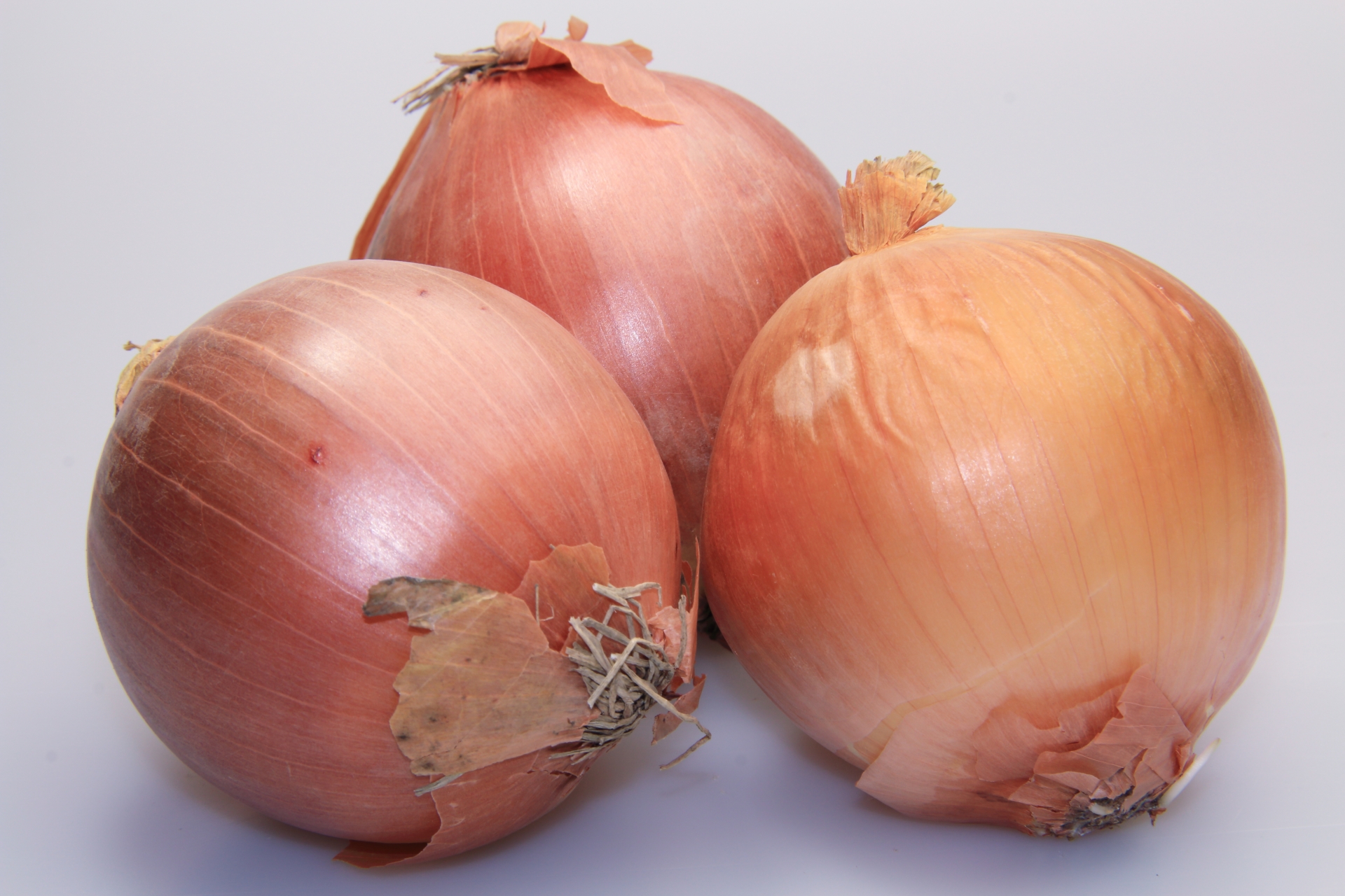 Onion